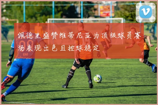 佩德里盛赞维蒂尼亚为顶级球员赛场表现出色且控球稳定